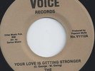 Northern Soul -FOUR VOICES
