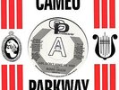 BUNNY SIGLER  GIRL DON'T MAKE ME WAIT/FOLLOW YOUR HEART  OUTTA SIGHT/CAMEO  DEMO