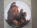 Paradise Lost - Gothic - PICTURE LP - Peaceville, VILE 26P - 1991