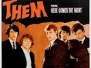 THEM HERE COMES THE NIGHT RARE US ORIG’65 PARROT FIRST PRESS VAN MORRISON GARAGE