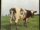 Pink Floyd Atom Heart Mother LP VG+ UK 1970 1st SHVL 781 No EMI W/ Faucet Drip