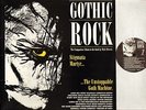 GOTHIC ROCK bauhaus/sex gang children/tones on tail/virgin prunes/etc DOUBLE LP