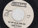 SAM & DAVE You Ain't No Big Thing Baby 45 on Roulette northern soul HEAR