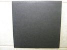 The Muffins-Air Fiction Live At Psychedelly March 3 1979 US Random Radar 00A NM