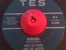 RARE Hot Rod Tittyshaker 45 GARY LEE FAUSZ THE SAVOYS Barracuda TES VG++ Doowop