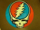 GRATEFUL DEAD STEAL YOUR FACE 12