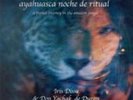 Ayahuasca Noche De Ritual - DISSE IRIS [CD]
