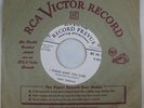 Terry Timmons - Mr Low Love / I Could Make You Care 45 RCA Victor Promo HEAR
