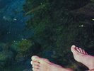 ROEDELIUS - WENN DER SÜDWIND WEHT  VINYL LP NEW