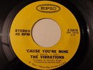 THE VIBRATIONS 