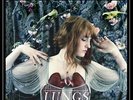 Florence and + the Machine Lungs Vinyl LP New