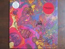 TAME IMPALA elephant 12