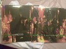THE WARLOCKS PHOENIX EP SIGNED AUTOGRAPHED-BIRDMAN RECORDS 2002 SEALED LP -RARE
