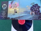 Moby Grape – Wow (Lp, Columbia, 1968, foc, US;Skip Spence;Bob Mosley) Vinyl 