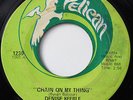 DENISE KEEBLE-CHAIN ON MY THING /BEFORE IT FALLS APART-NORTHERN 45 on PELICAN