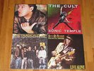 the cult, the tragically hip, david gilmour, stevie ray vaughan canada lp lot