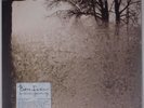 BON IVER: Emma Forever Ago SEALED Vinyl LP rare 2008