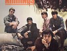 ANIMALS - The Best Of Animals - 180 gram clear vinyl LP