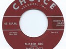 ROCKABILLY 45   SANDY SCOTT   