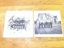 PJ Harvey Let England Shake VINYL LP NM condition.