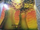 Nuclear Assault Survive 12