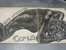 vinyle 33 tours, COMUS FIRST UTTERANCE Red Bus Company DAWN  DNSL3019 1971
