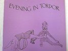 RaRe Electronic Minimal EVENING IN TORPOR S/T LP NICE NM orig COMMUNITY 3