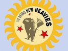 The Brand New Heavies [VINYL] The Brand New Heavies Vinyl