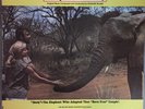 An Elephant Called Slowly-Howard Blake OST Vinyl LP Funk/Breaks BELL NM Original