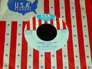 The Cherry Slush 45 USA I Cannot Stop You 1968 M- Dick Wagner w/ sleeve GARAGE