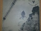 Pearl Jam MerkinBall vinyl 45 single (I got id/long road)