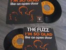 THE FUZZ I'm so glad* Mega rare French picture sleeve WIGAN CASINO Northern Soul