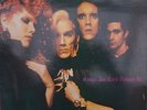 CRAMPS SONGS THE LORD TAUGHT US ILLEGAL ILP5 PSYCHOBILLY POISON IVY LUX INTERIOR