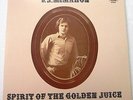 RI Psych Folk Rock F.J. MCMAHON Spirit Of The Golden Juice LP MINTY with insert