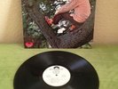 Lee Dorsey Yes We Can Soul Funk Breaks Polydor Promo Robert Ludwig Press Rare