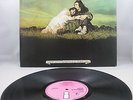 JOHN AND BEVERLEY MARTYN - 