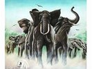 Elvis Costello / Armed forces / MFSL 1-331