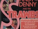 LP Sandy Denny and the Strawbs (FAIRPORT CONVENTION) All our own work Hallmar