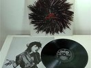 LIZZY MERCIER DESCLOUX 