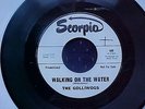 45 rpm , Golliwogs on Scorpio#408, promo copy.....