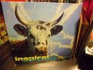 Inspiral Carpets She Comes vinyl 12 Inch 1990 Mute Records VG+