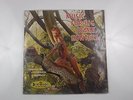 Music For Big Dame Hunters (Crown CST 199) Red Vinyl