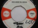 RED WHITE ISLAND 45 Philip James Blues Busters Wide Awake In A Dream UK 7