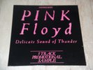 PINK FLOYD -Delicate Sound of Thunder -Promotional Sample-SPANISH EDITION-RARE
