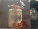 FAMOUS JUG BAND - Sunshine Possibilties   VINYL LP AUSTRALIAN PRESS