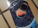 PINK FLOYD / PULSE / VHS / vhs not lp vinyl