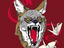 HIATUS KAIYOTE TAWK TOMAHAWK LP VINYL 33RPM BRAND NEW