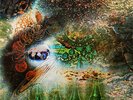 Pink Floyd- A Saucerful of secrets (Dark blue vinyl)