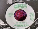 Mod Garage Fuzz Acid Psych Promo 45 Dick Wagner & The Frosts Sunshine NM HEAR