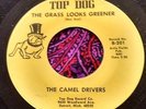 Top Michigan Fuzz Garage Psych Dancer 45 Camel Drivers Grass Looks Greener HEAR